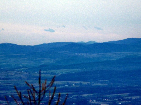P1050899_sh_zoom_1_600